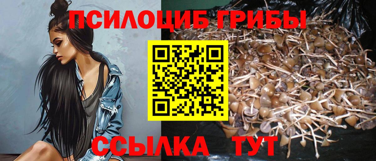Керчь  Псилоцибиновые грибы прущие грибы  Галлюциногенные грибы Psilocybe  как найти закладки  Вход с VPN 