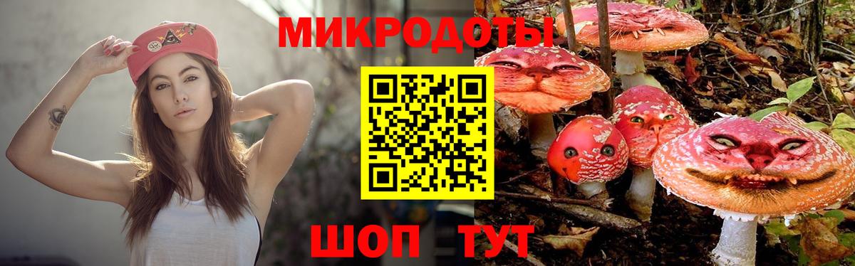 Псилоцибиновые грибы прущие грибы Керчь